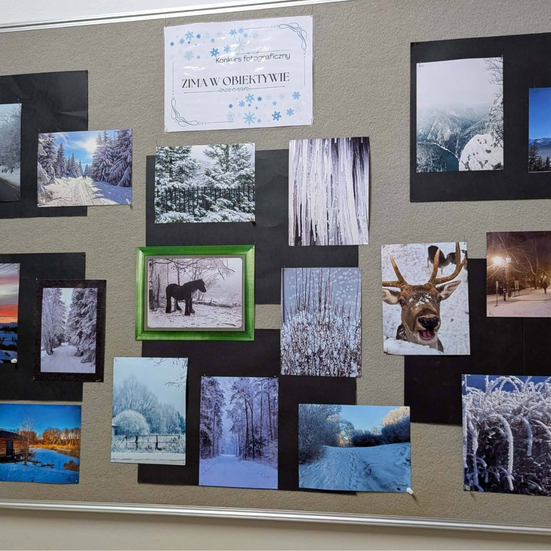 Read more about the article Konkurs fotograficzny „Zima w obiektywie”