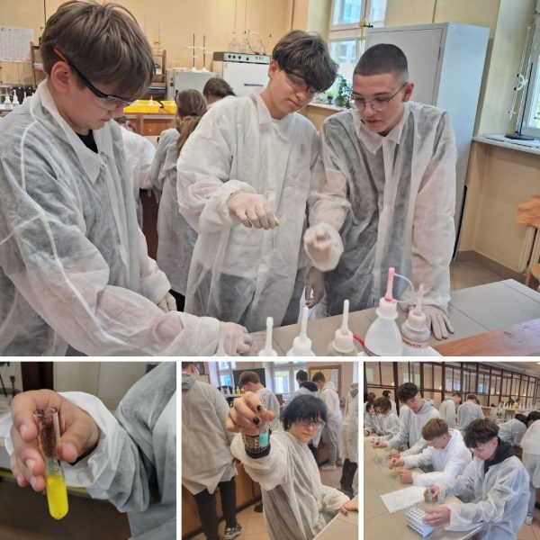 Warsztaty chemiczne 1