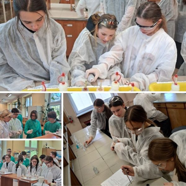 Warsztaty chemiczne 3