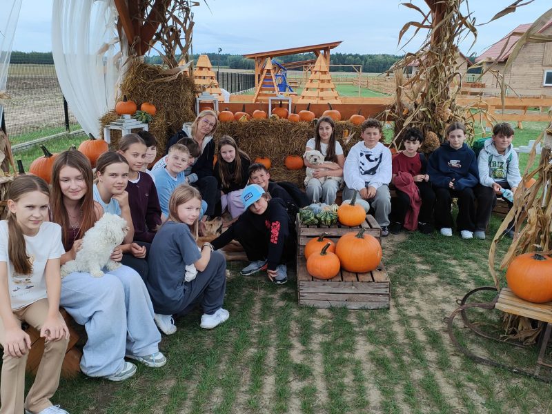 Farma Pełna Słońca 2