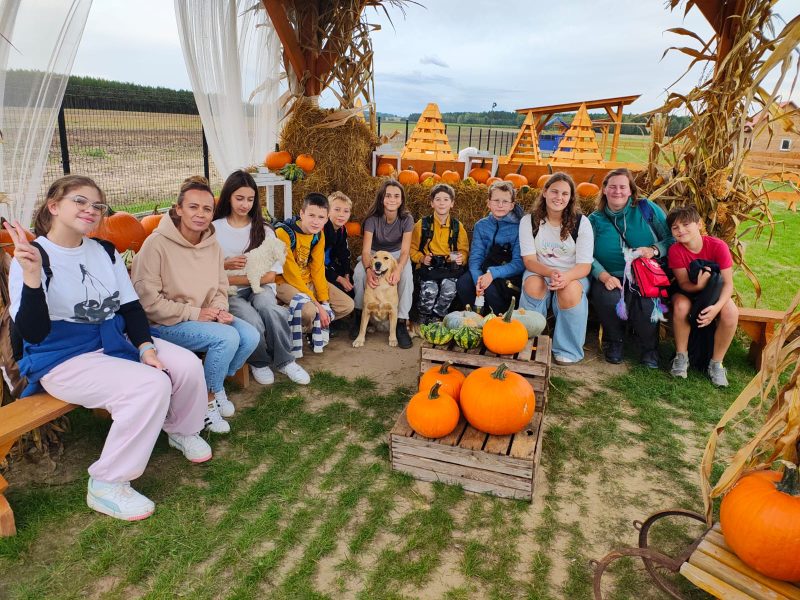 Farma Pełna Słońca